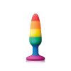 Pride Pleasure Plug Rainbow Small - NSN-0408-52